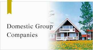 Domestic Group Companies